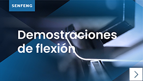 Demostraciones de flexión